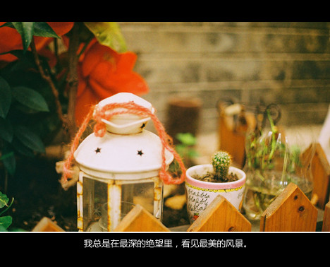 五一早安说说一句话（五一最后一天的问候说说）